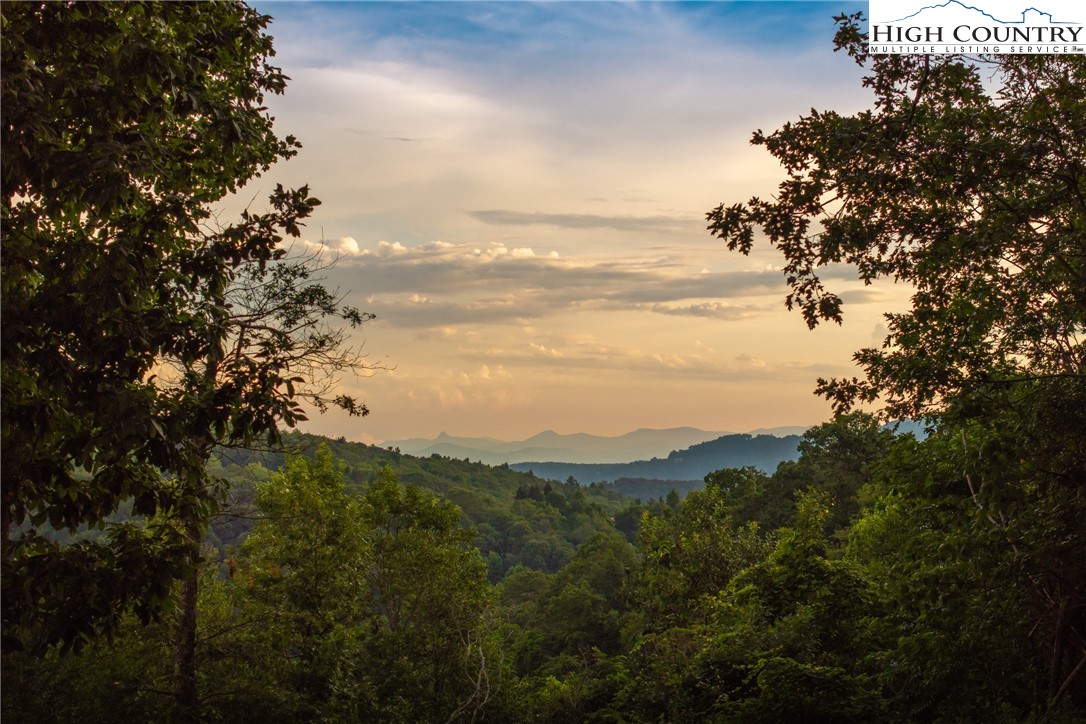 3 Reynolds Parkway Boone, NC 28607 - Photo 2 of 50 a view of a city with lush green forest