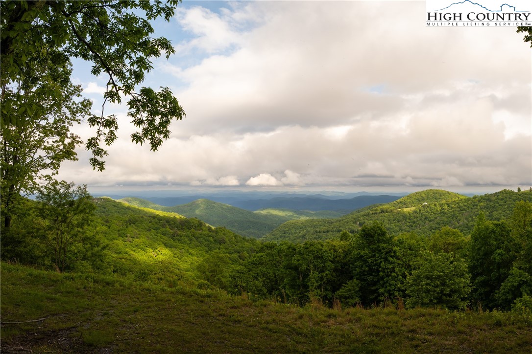 3 Reynolds Parkway Boone, NC 28607 - Photo 3 of 50 a view of a bunch of trees