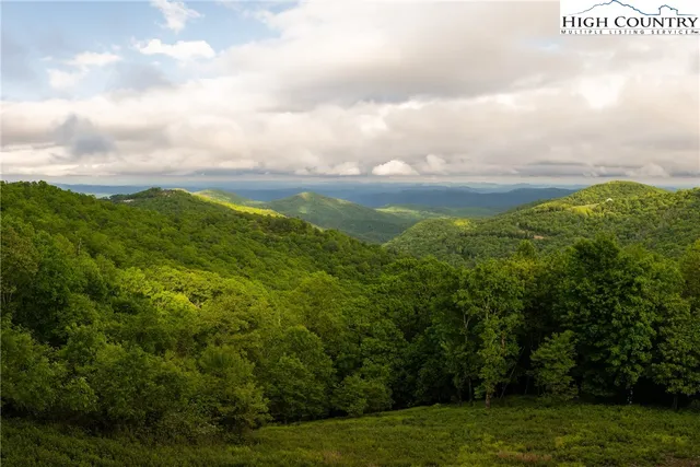 a view of a big yard with lots of bushes