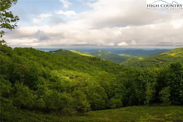 a view of a big yard with lots of bushes