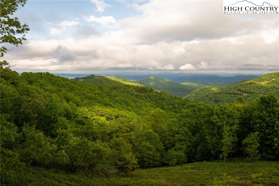 3 Reynolds Parkway Boone, NC 28607 - Photo 6 of 50 a view of a big yard with lots of bushes