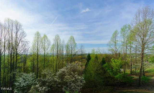$899,999 | 292 Alpine Trail, Kingsport, TN 37663