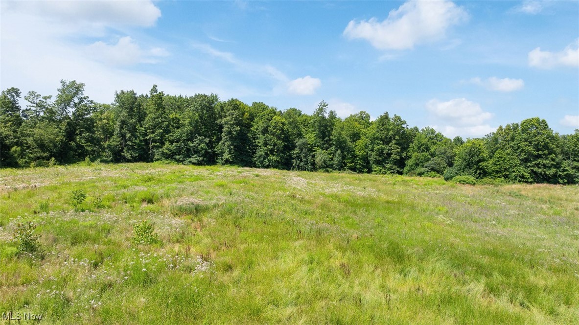 16990 Nash Road Middlefield, OH 44062 - Photo 45 of 45 View of undeveloped land