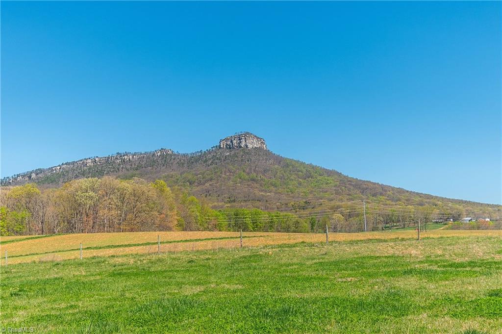0 Mt Zion Road, Unit TRACT 8 Pinnacle, NC 27043 - Photo 1 of 28