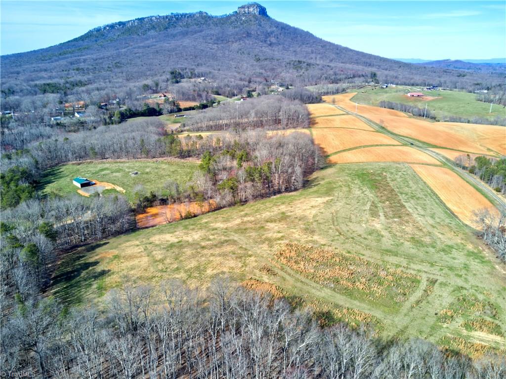 0 Mt Zion Road, Unit TRACT 8 Pinnacle, NC 27043 - Photo 2 of 28