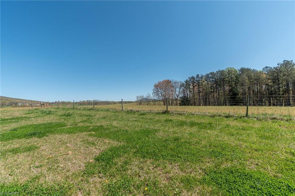 0 Mt Zion Road, Unit TRACT 8 Pinnacle, NC 27043 - Photo 11 of 28