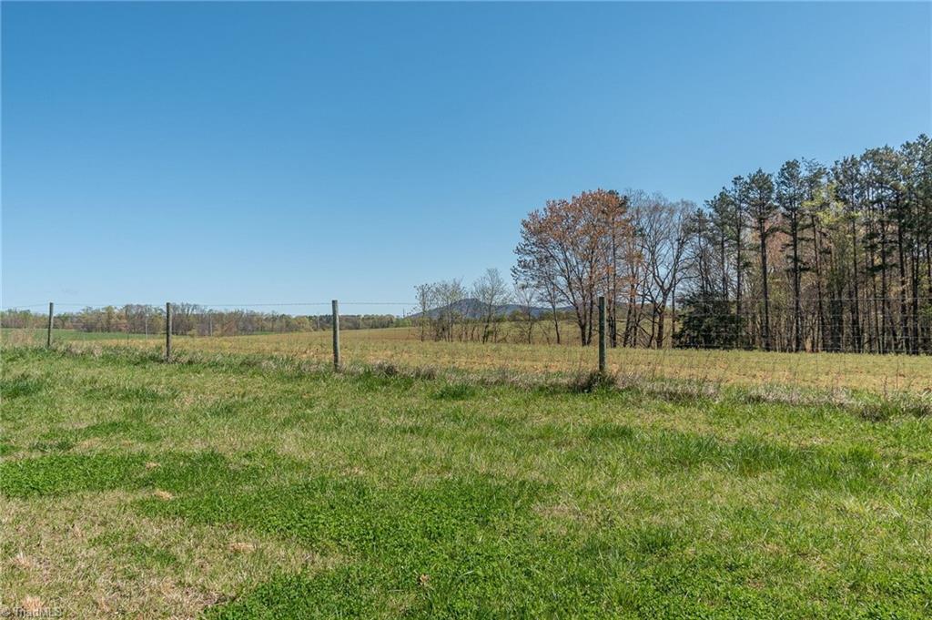 0 Mt Zion Road, Unit TRACT 8 Pinnacle, NC 27043 - Photo 12 of 28