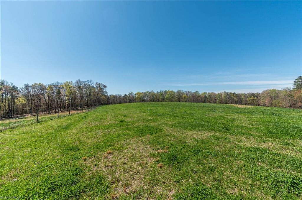 0 Mt Zion Road, Unit TRACT 8 Pinnacle, NC 27043 - Photo 13 of 28