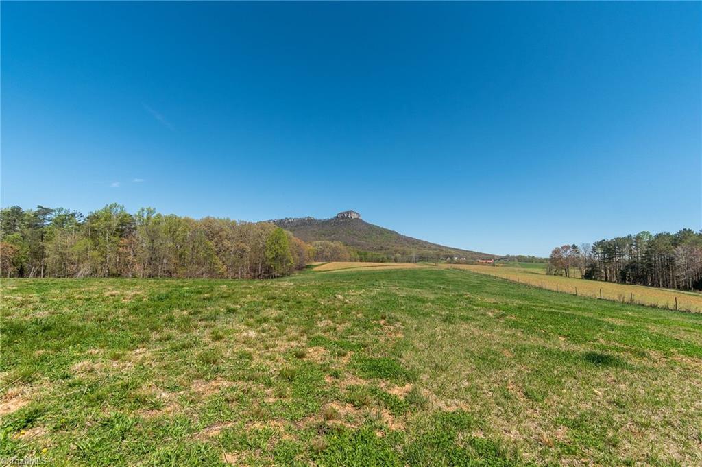 0 Mt Zion Road, Unit TRACT 8 Pinnacle, NC 27043 - Photo 14 of 28