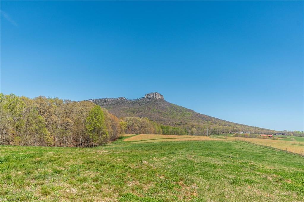 0 Mt Zion Road, Unit TRACT 8 Pinnacle, NC 27043 - Photo 15 of 28