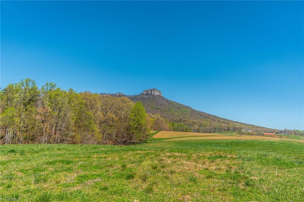 0 Mt Zion Road, Unit TRACT 8 Pinnacle, NC 27043 - Photo 16 of 28