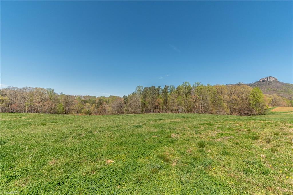 0 Mt Zion Road, Unit TRACT 8 Pinnacle, NC 27043 - Photo 17 of 28