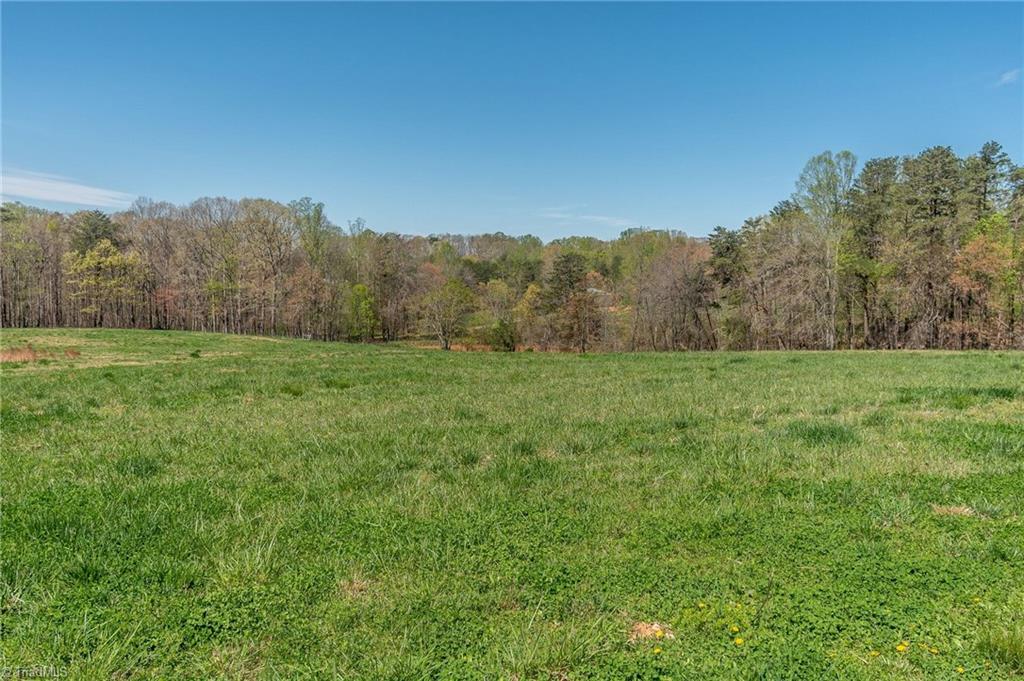0 Mt Zion Road, Unit TRACT 8 Pinnacle, NC 27043 - Photo 18 of 28