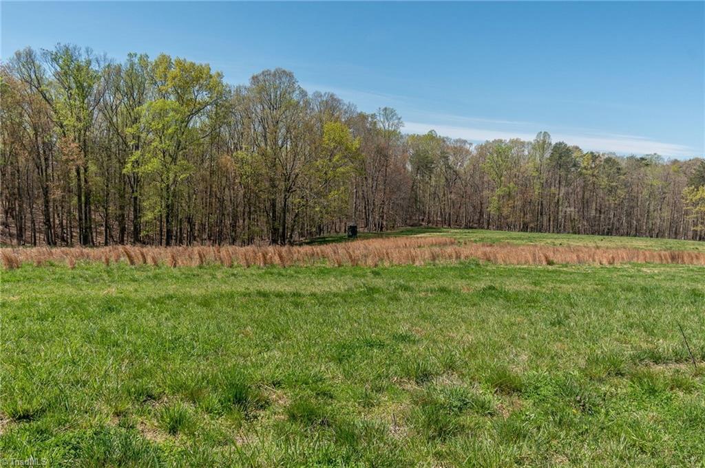 0 Mt Zion Road, Unit TRACT 8 Pinnacle, NC 27043 - Photo 19 of 28