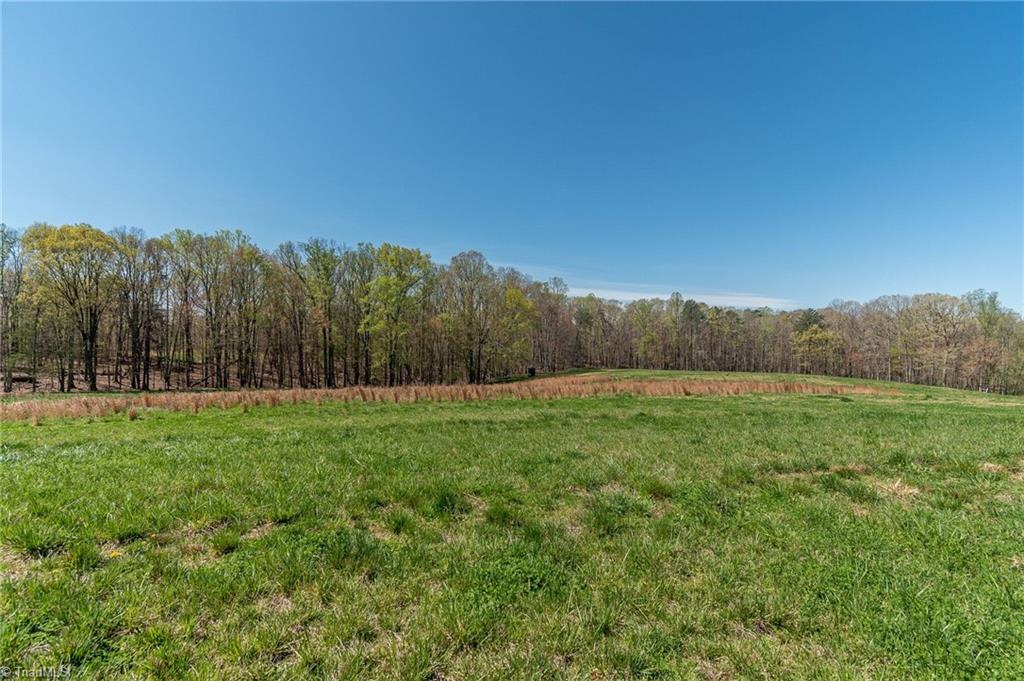 0 Mt Zion Road, Unit TRACT 8 Pinnacle, NC 27043 - Photo 20 of 28