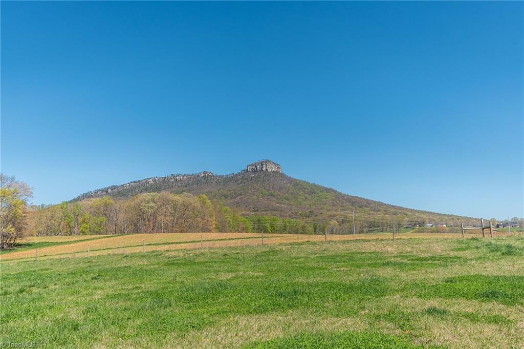 0 Mt Zion Road, Unit TRACT 8 Pinnacle, NC 27043 - Photo 3 of 28