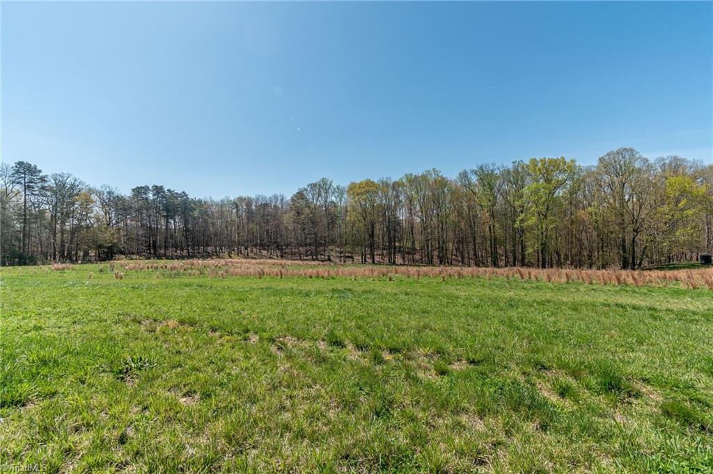 0 Mt Zion Road, Unit TRACT 8 Pinnacle, NC 27043 - Photo 21 of 28