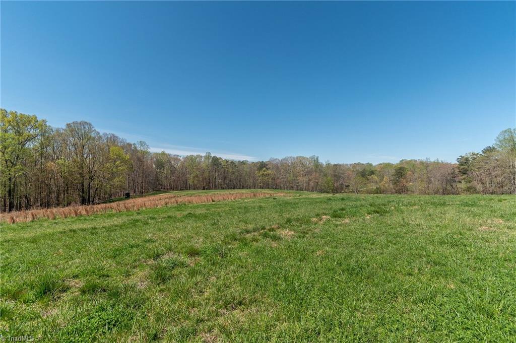 0 Mt Zion Road, Unit TRACT 8 Pinnacle, NC 27043 - Photo 22 of 28