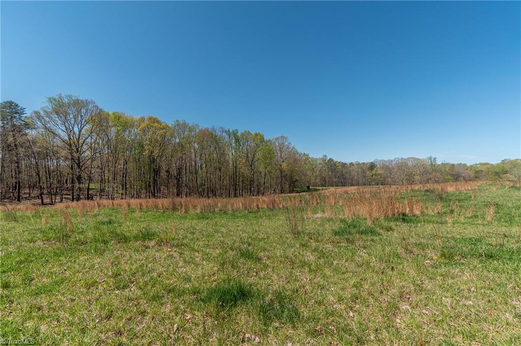 0 Mt Zion Road, Unit TRACT 8 Pinnacle, NC 27043 - Photo 23 of 28