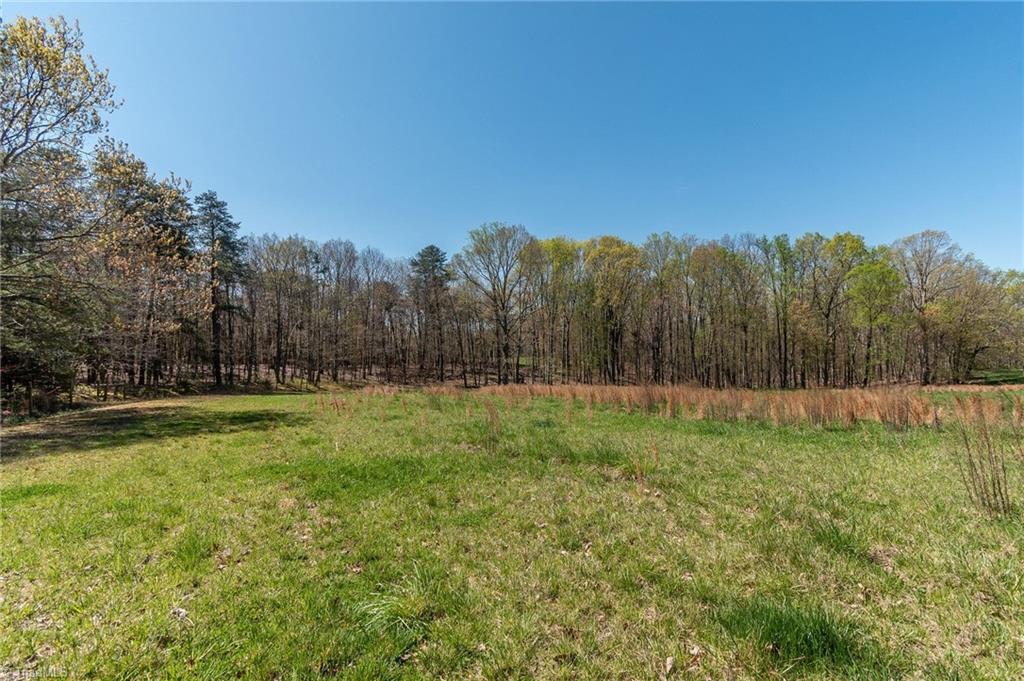 0 Mt Zion Road, Unit TRACT 8 Pinnacle, NC 27043 - Photo 24 of 28