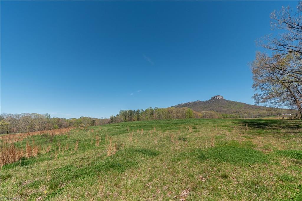 0 Mt Zion Road, Unit TRACT 8 Pinnacle, NC 27043 - Photo 25 of 28