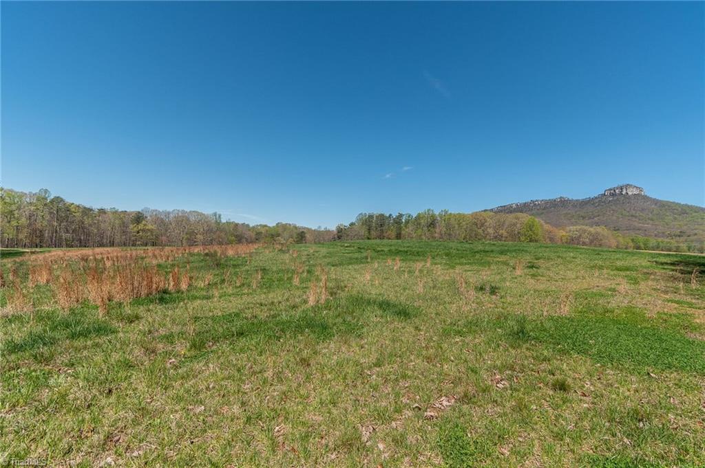 0 Mt Zion Road, Unit TRACT 8 Pinnacle, NC 27043 - Photo 26 of 28