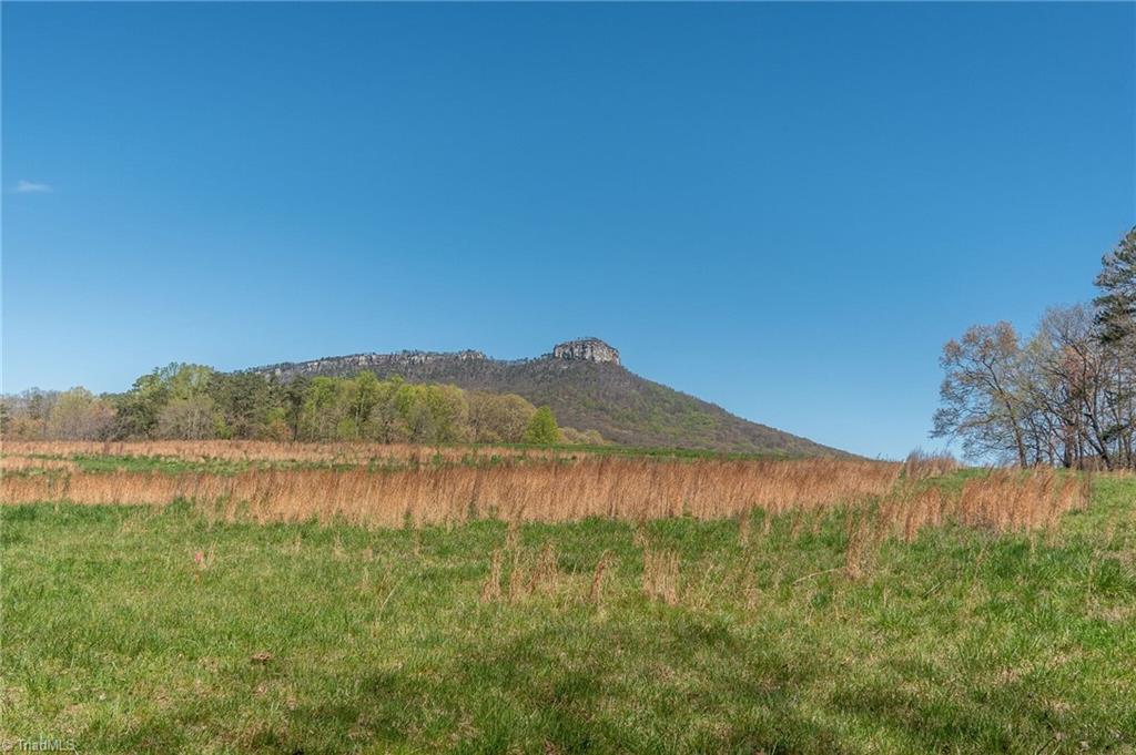 0 Mt Zion Road, Unit TRACT 8 Pinnacle, NC 27043 - Photo 27 of 28