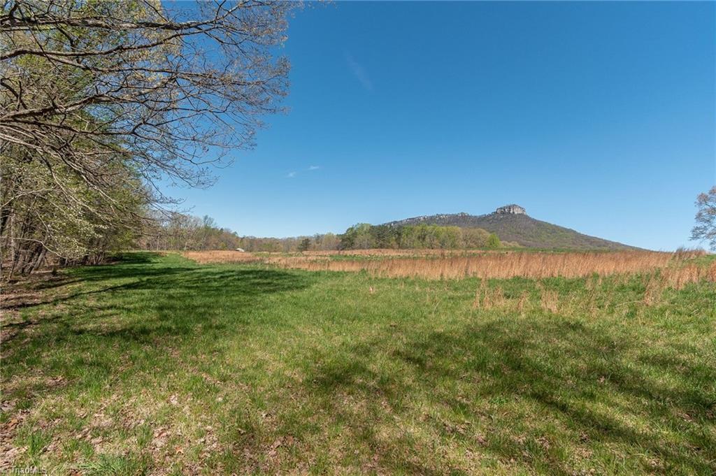 0 Mt Zion Road, Unit TRACT 8 Pinnacle, NC 27043 - Photo 28 of 28