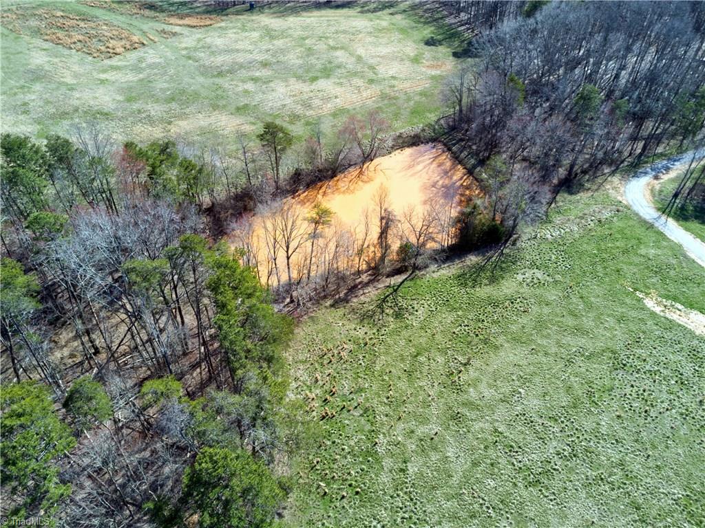 0 Mt Zion Road, Unit TRACT 8 Pinnacle, NC 27043 - Photo 6 of 28