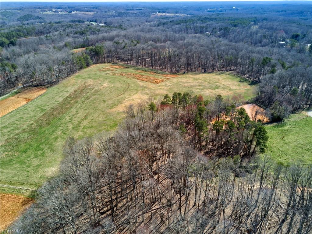 0 Mt Zion Road, Unit TRACT 8 Pinnacle, NC 27043 - Photo 7 of 28