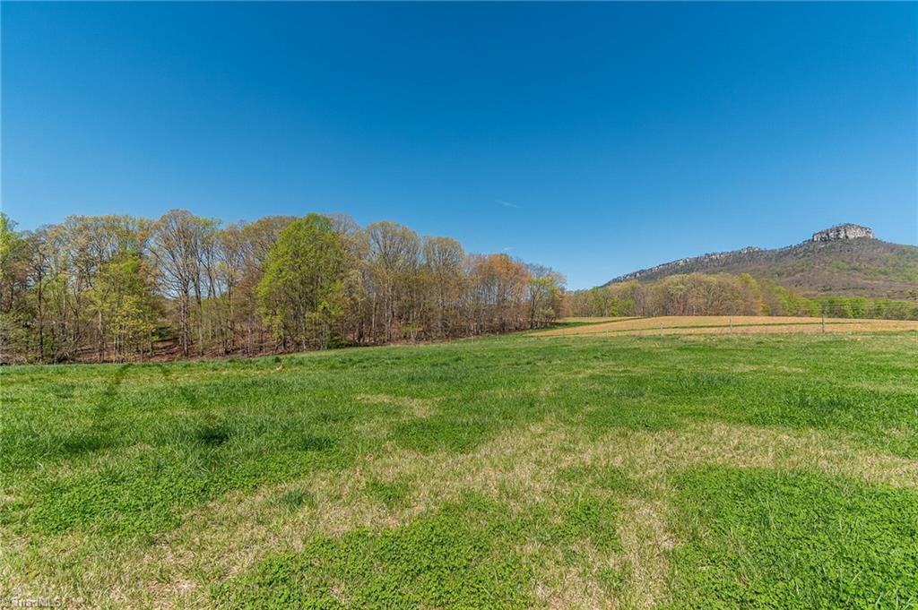0 Mt Zion Road, Unit TRACT 8 Pinnacle, NC 27043 - Photo 9 of 28