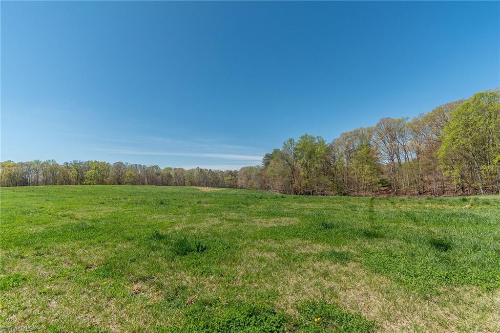 0 Mt Zion Road, Unit TRACT 8 Pinnacle, NC 27043 - Photo 10 of 28