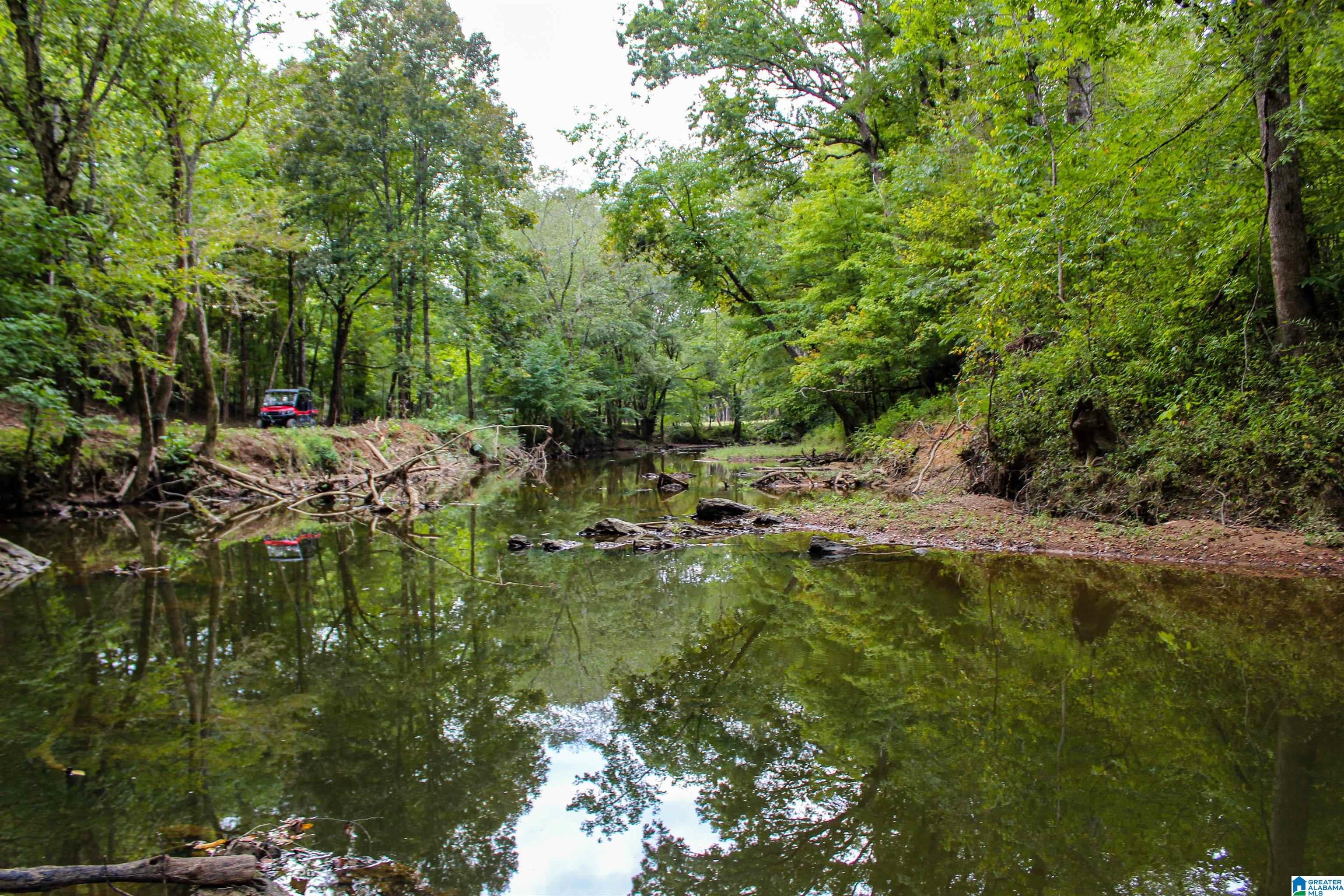 1 Sawyers Cove Road Calera, AL 35040 - Photo 19 of 62 Gallery Image 19