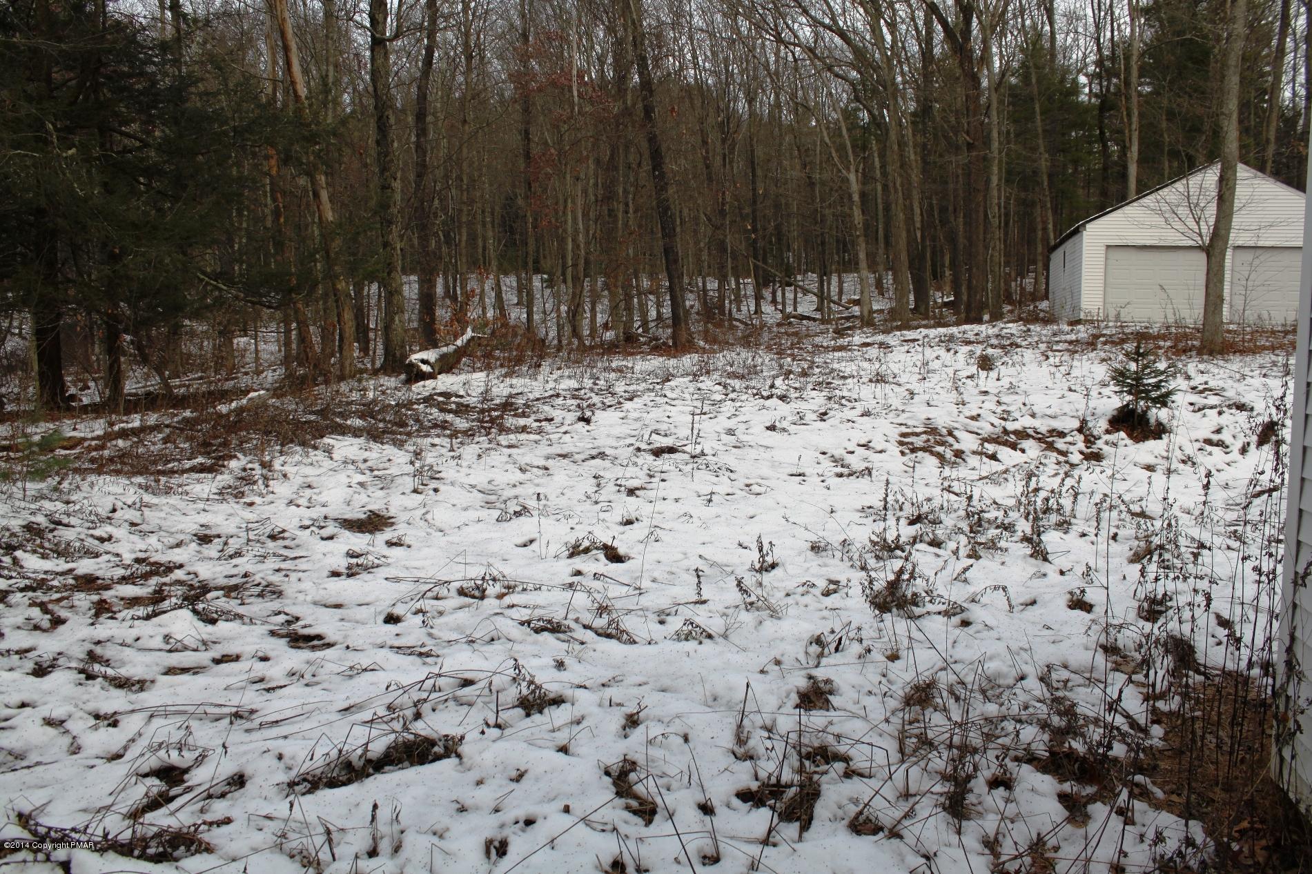 1055 Bush Road Cresco, PA 18326 - Photo 22 of 24 a view of a backyard of a house with a large tree