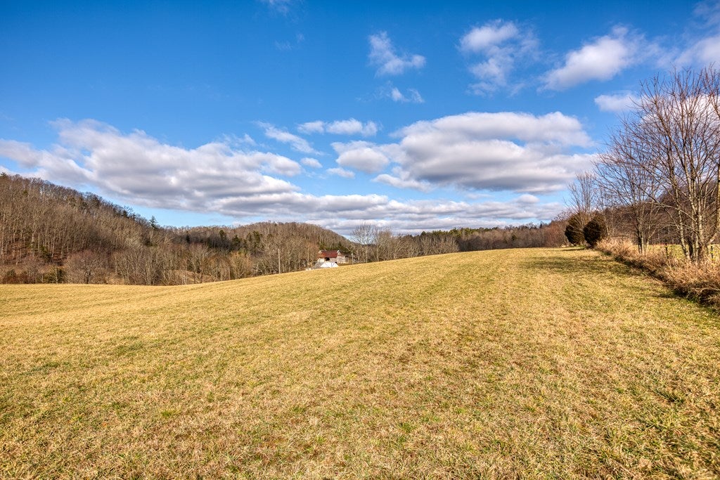 Tbd Greertown Road, Unit 1 2 3 Glade Spring, VA 24340 - Photo 4 of 9 Gallery Image 4