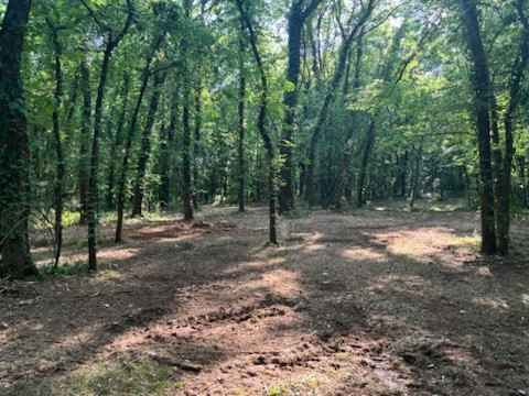 0 Old South Road Murfreesboro, TN 37128 - Photo 4 of 7 a view of outdoor space with trees