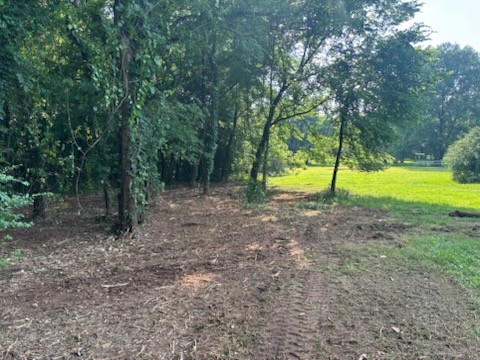 0 Old South Road Murfreesboro, TN 37128 - Photo 5 of 7 a view of outdoor space with trees all around