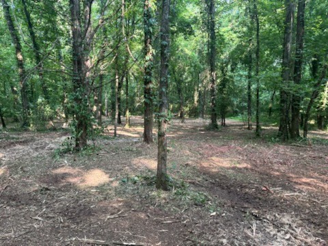 0 Old South Road Murfreesboro, TN 37128 - Photo 6 of 7 a view of a forest with trees in the background