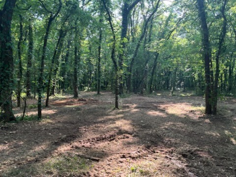 0 Old South Road Murfreesboro, TN 37128 - Photo 7 of 7 a view of outdoor space with trees