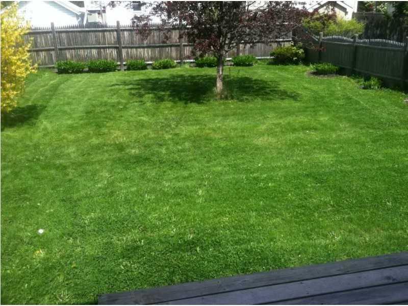 39 Torrey Street Portland, ME 04103 - Photo 23 of 32 Back Yard. last summer view!