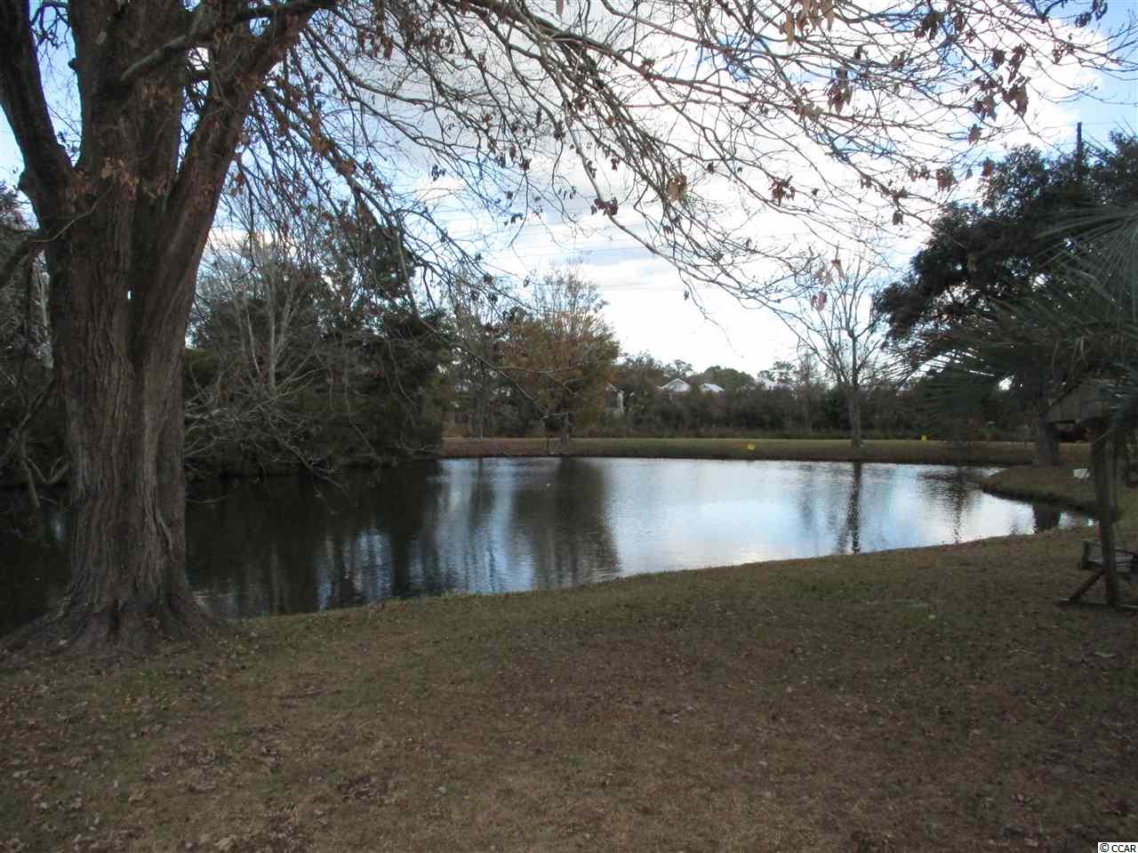 88 Beacon Court Murrells Inlet, SC 29576 - Photo 4 of 34