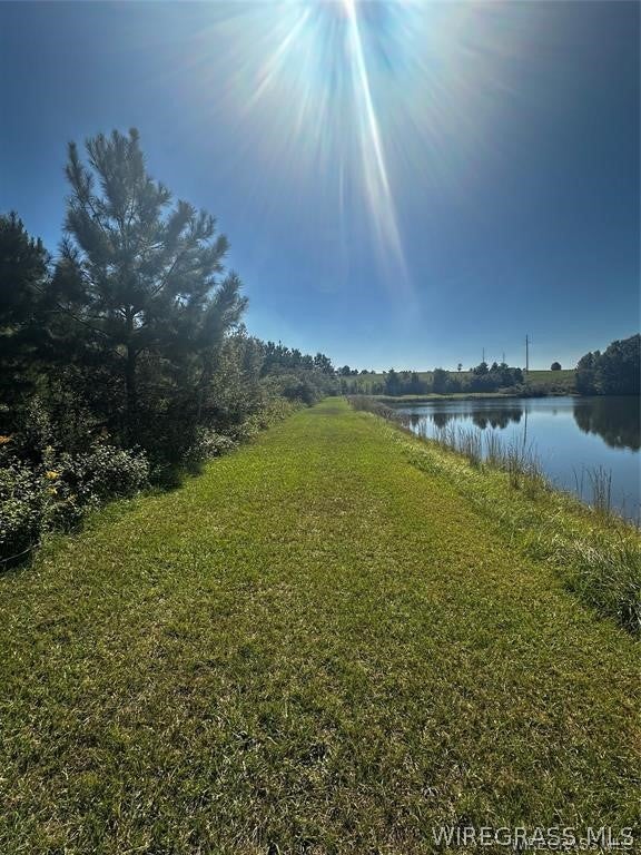 0 Culpepper Road Coffee Springs, AL 36318 - Photo 13 of 23 Gallery Image 13