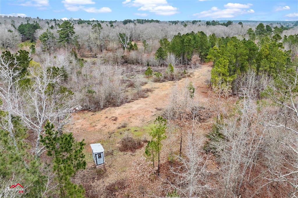 Tbd Tbd Haynes Road Marshall, TX 75670 - Photo 11 of 27 a view of a forest with trees and mountains