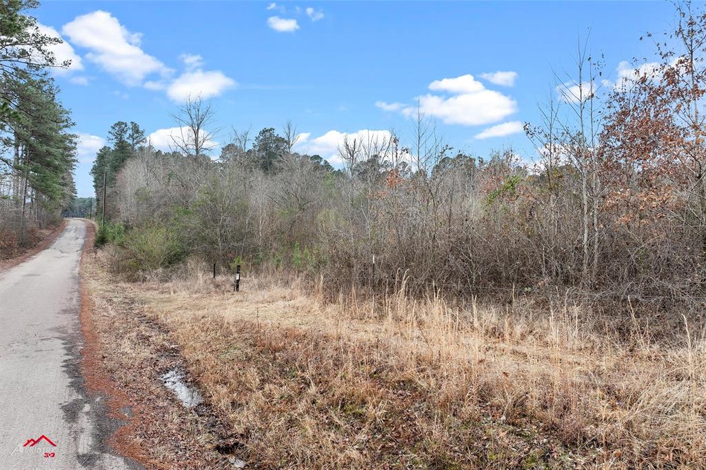 Tbd Tbd Haynes Road Marshall, TX 75670 - Photo 12 of 27 a view of a town with trees