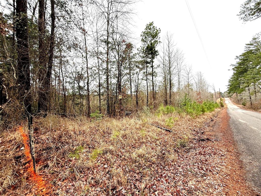 Tbd Tbd Haynes Road Marshall, TX 75670 - Photo 13 of 27 a view of a yard with trees in the background