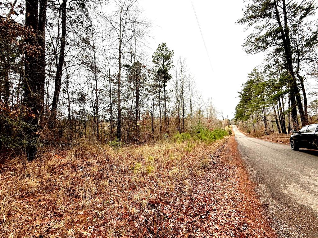 Tbd Tbd Haynes Road Marshall, TX 75670 - Photo 15 of 27 a view of a yard with trees