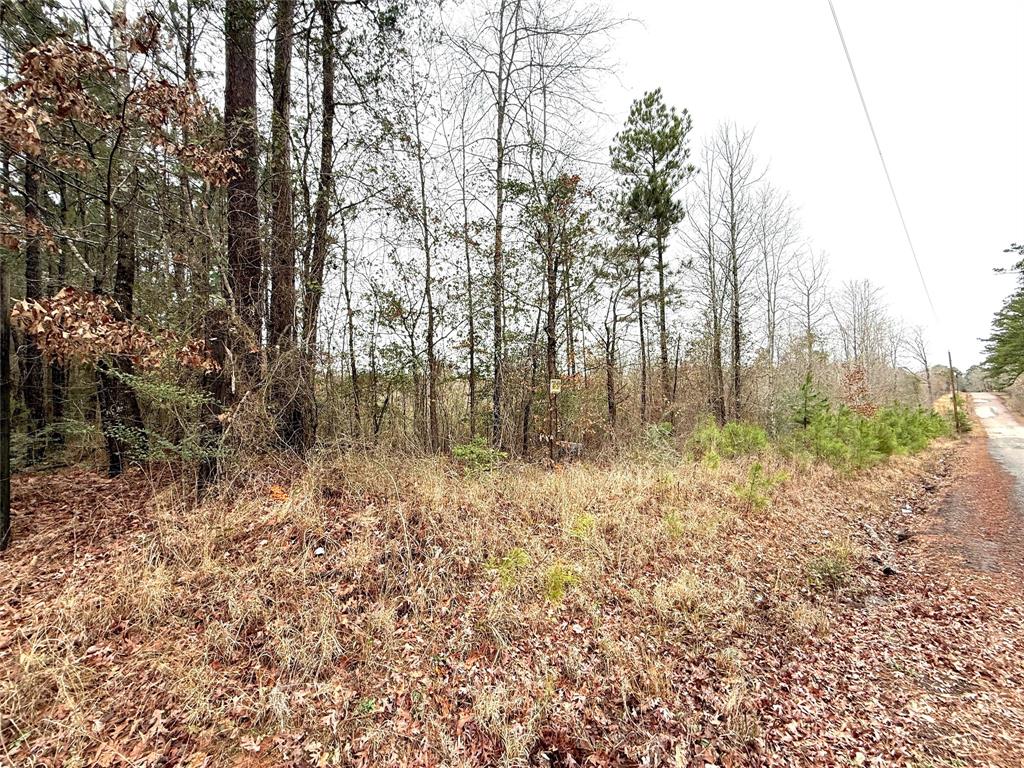 Tbd Tbd Haynes Road Marshall, TX 75670 - Photo 16 of 27 a view of a yard with trees in the background