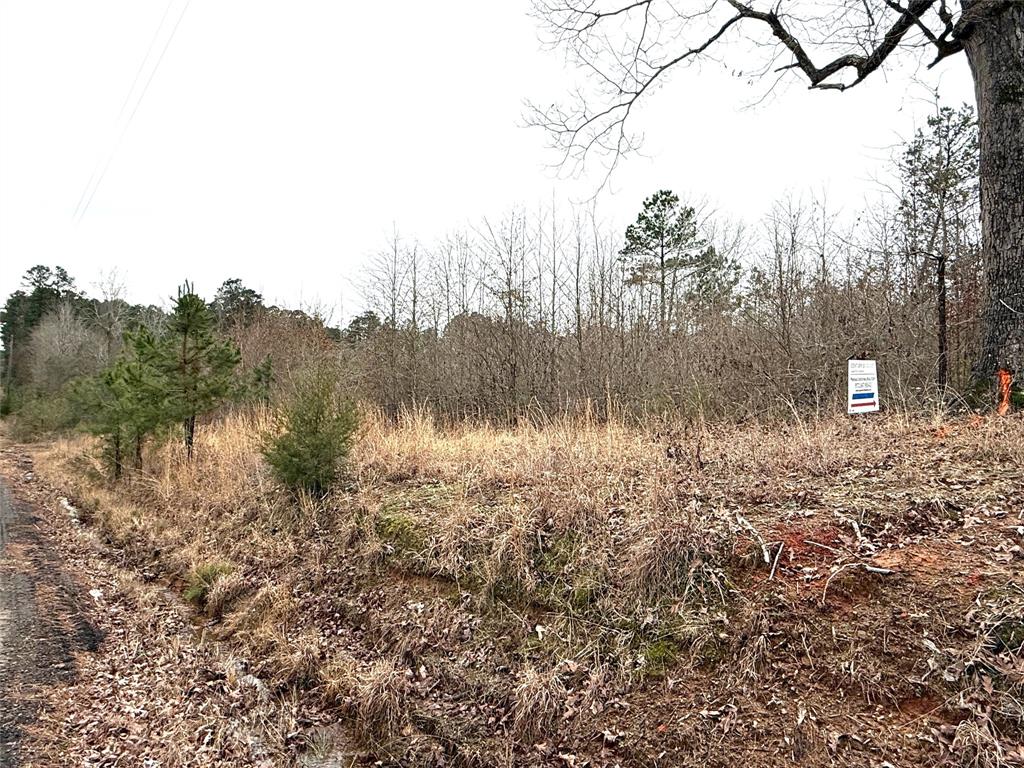 Tbd Tbd Haynes Road Marshall, TX 75670 - Photo 17 of 27 a view of a lake with houses