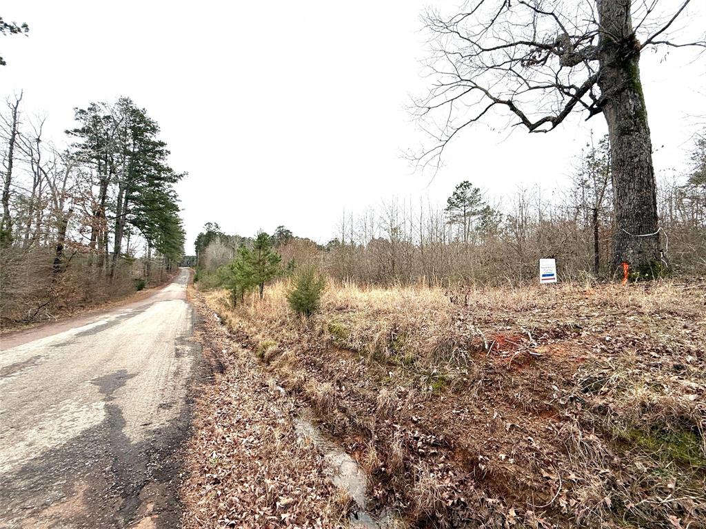 Tbd Tbd Haynes Road Marshall, TX 75670 - Photo 18 of 27 a view of a yard with trees