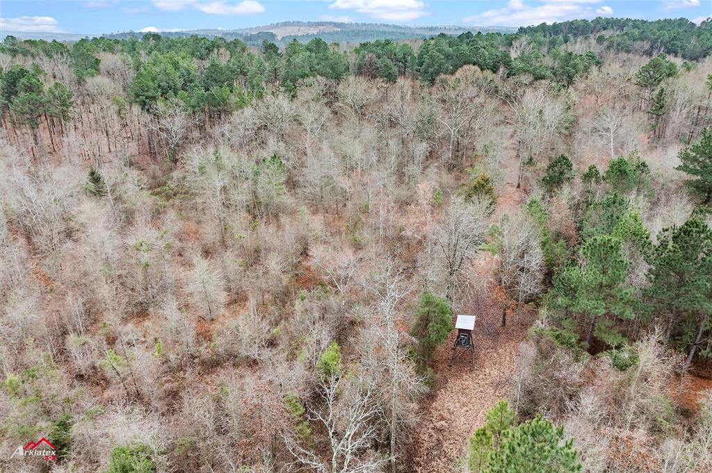 Tbd Tbd Haynes Road Marshall, TX 75670 - Photo 21 of 27 a view of a forest with trees in the background